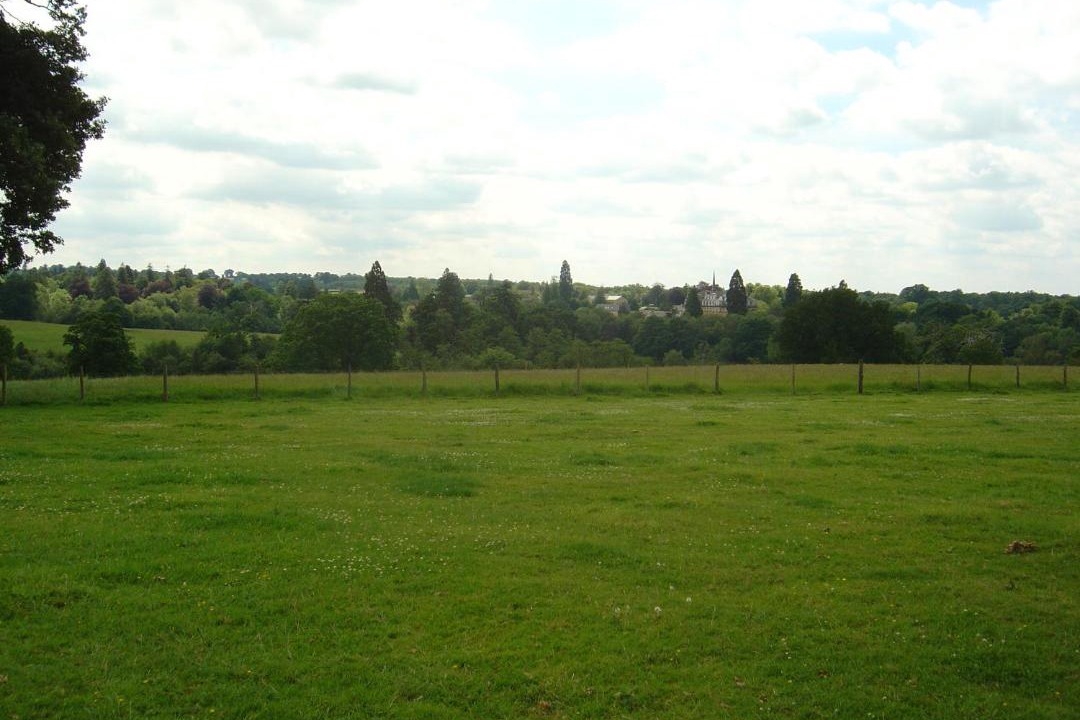 Photo of Others in Cranbrook