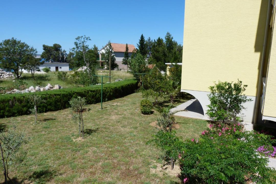 Photo of Others in Starigrad