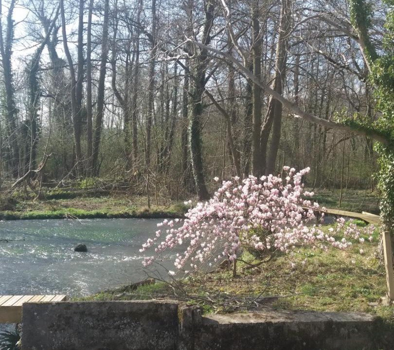 Photo of Others in Senarpont