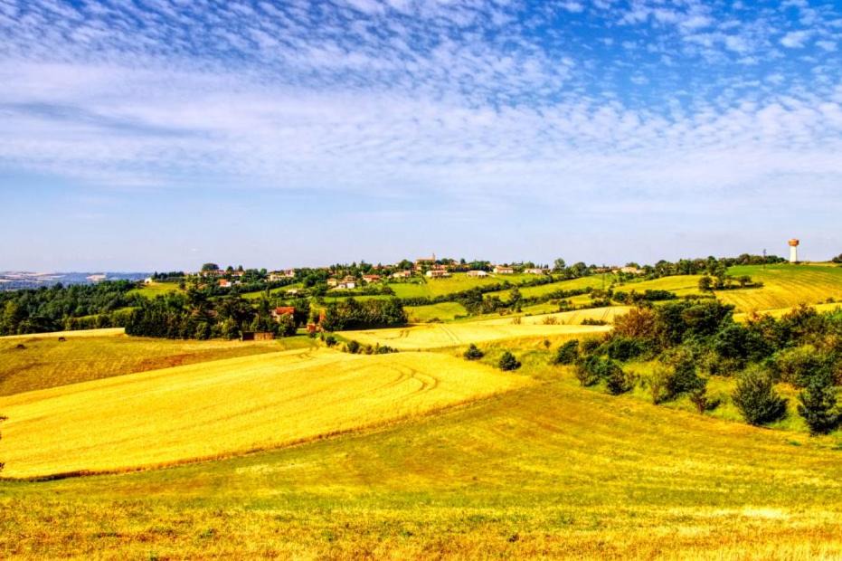 Photo of Outdoor in Montgaillard-Lauragais