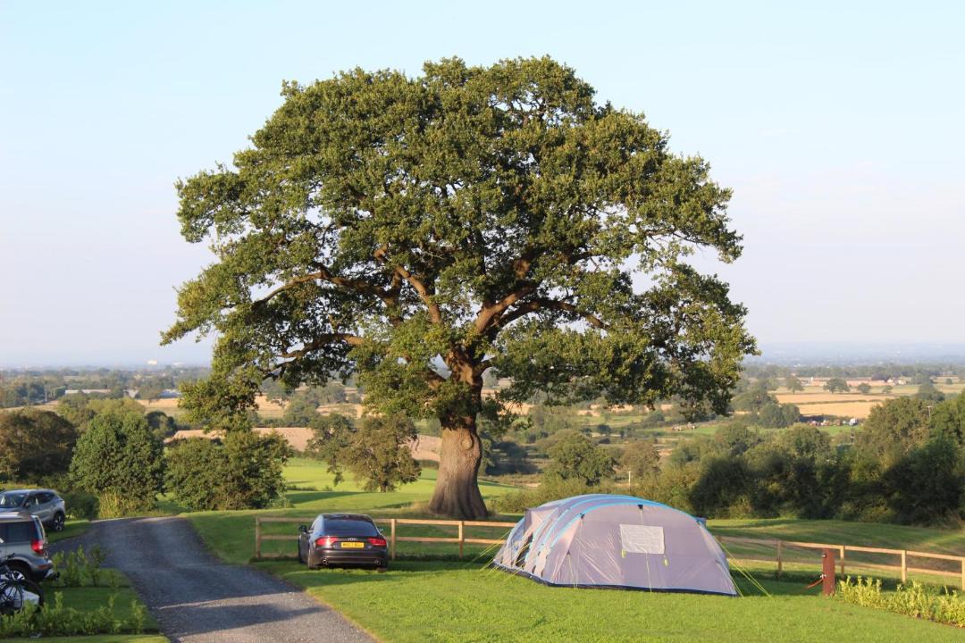 Photo of Others in Whitchurch