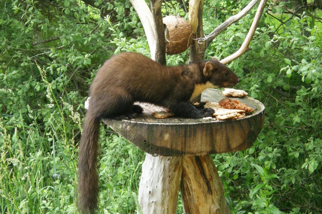 Photo of Others in Bunloit