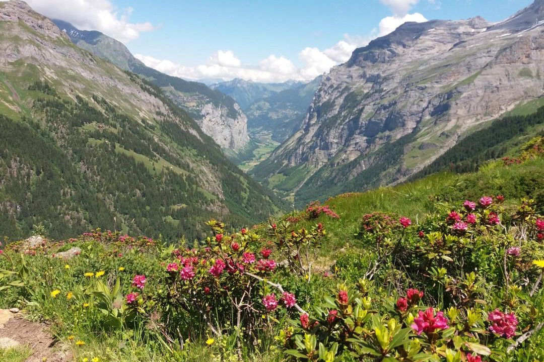 Photo of Others in Grindelwald