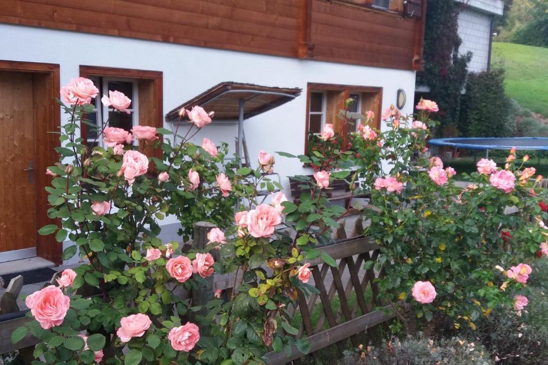 Photo of Others in Grindelwald