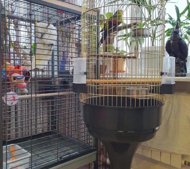 Photo of Others in Achitsky District