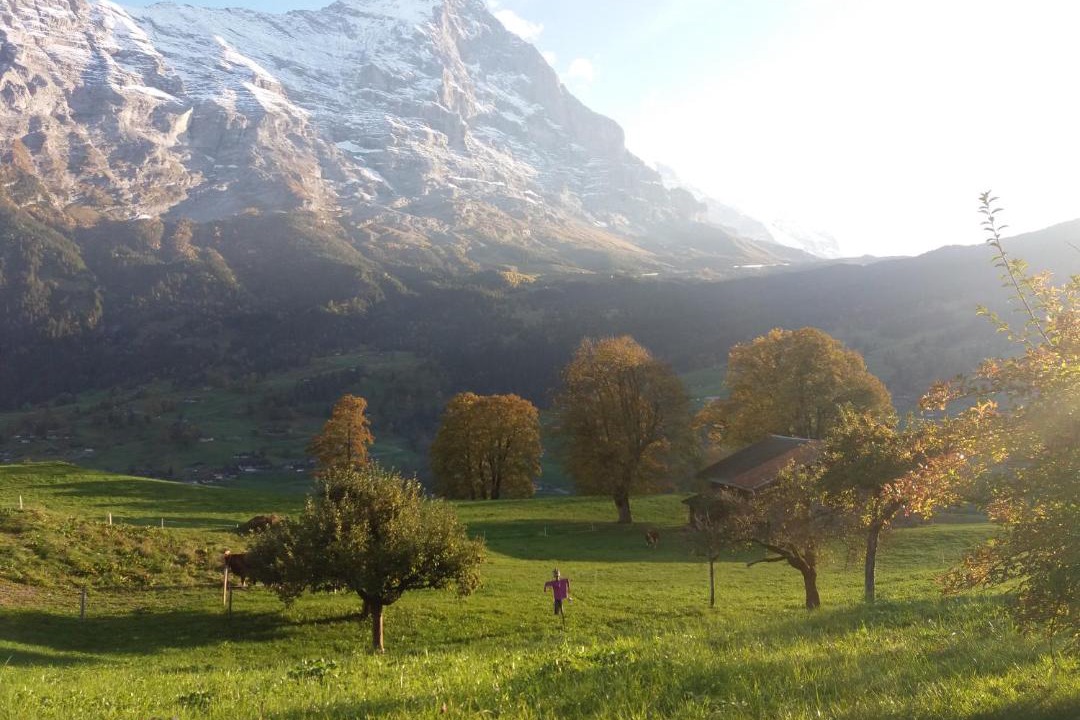 Photo of Others in Grindelwald