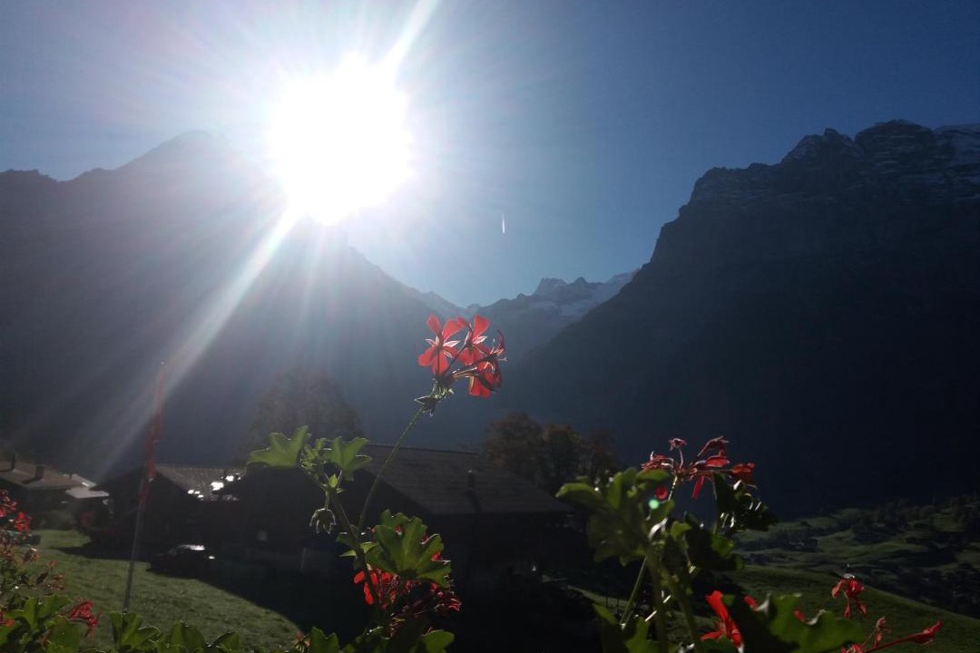 Photo of Others in Grindelwald