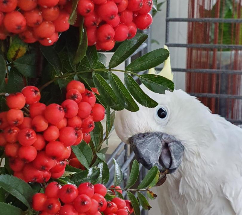 Photo of Others in Achitsky District