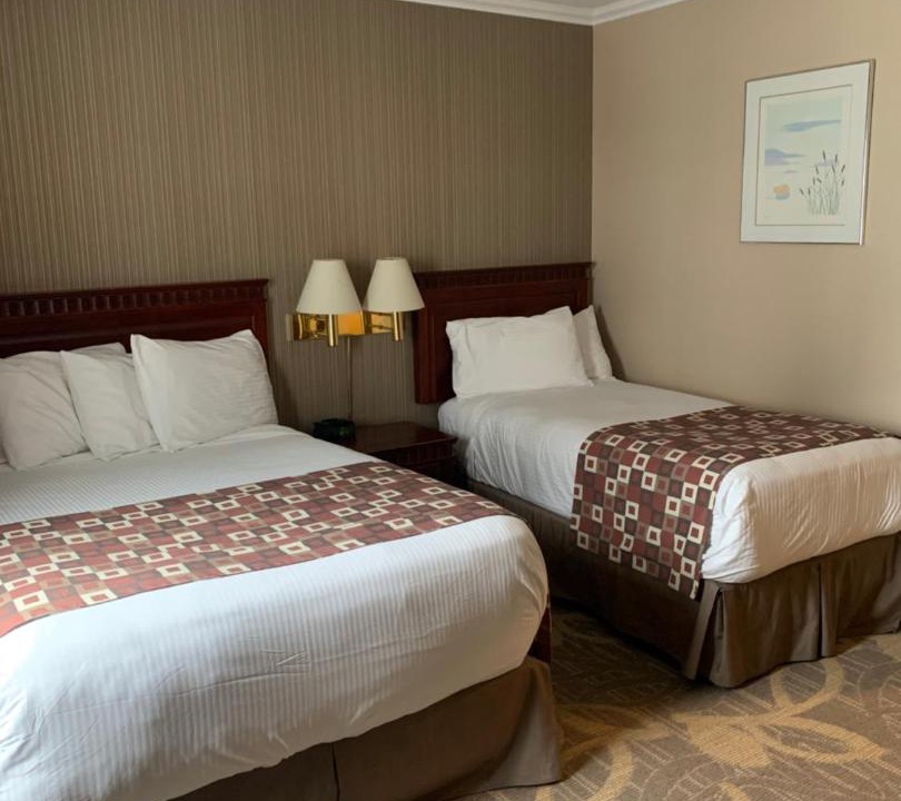 Photo of Others in Gander