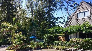 Photo of Others in Kerikeri