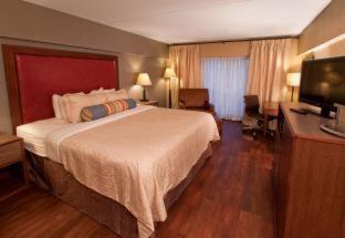 Photo of Others in Ithaca