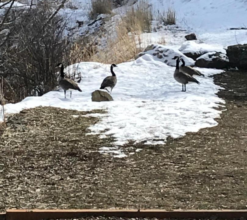 Photo of Others in Lava Hot Springs