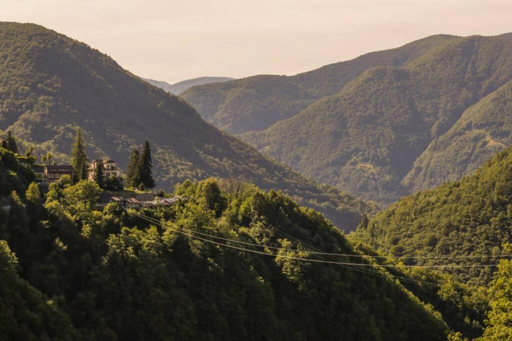 Photo of Others in Isorno
