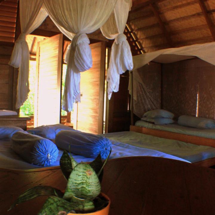 Photo of Others in Gowa