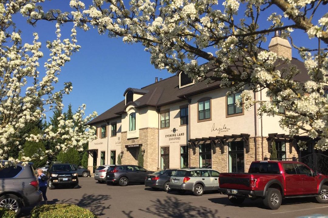 Photo of Others in Dundee