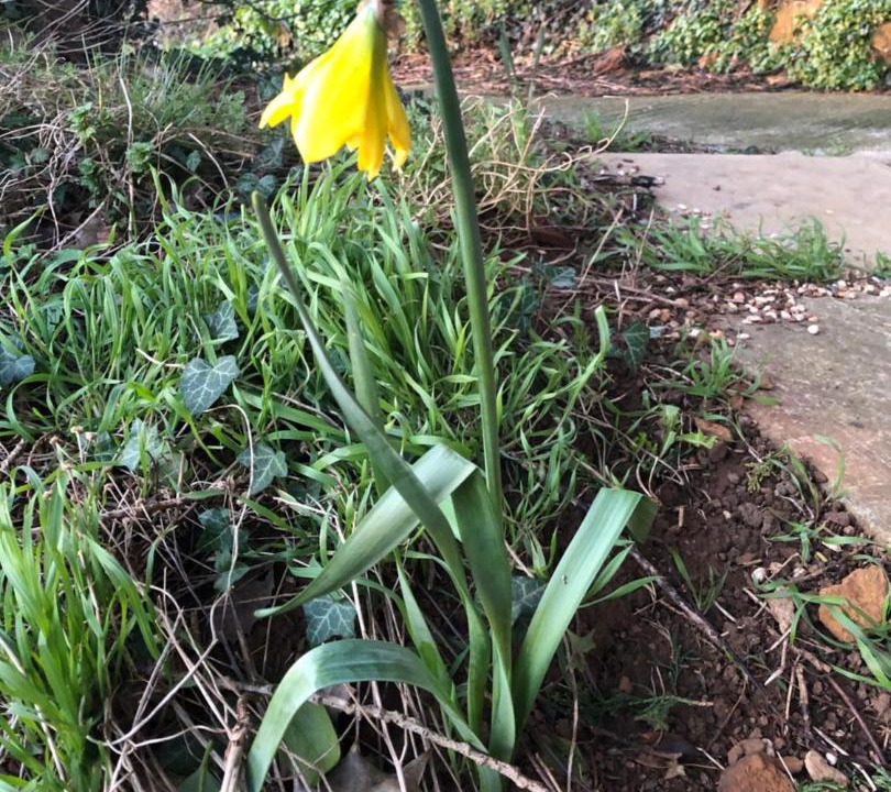 Photo of Others in Sibford Gower