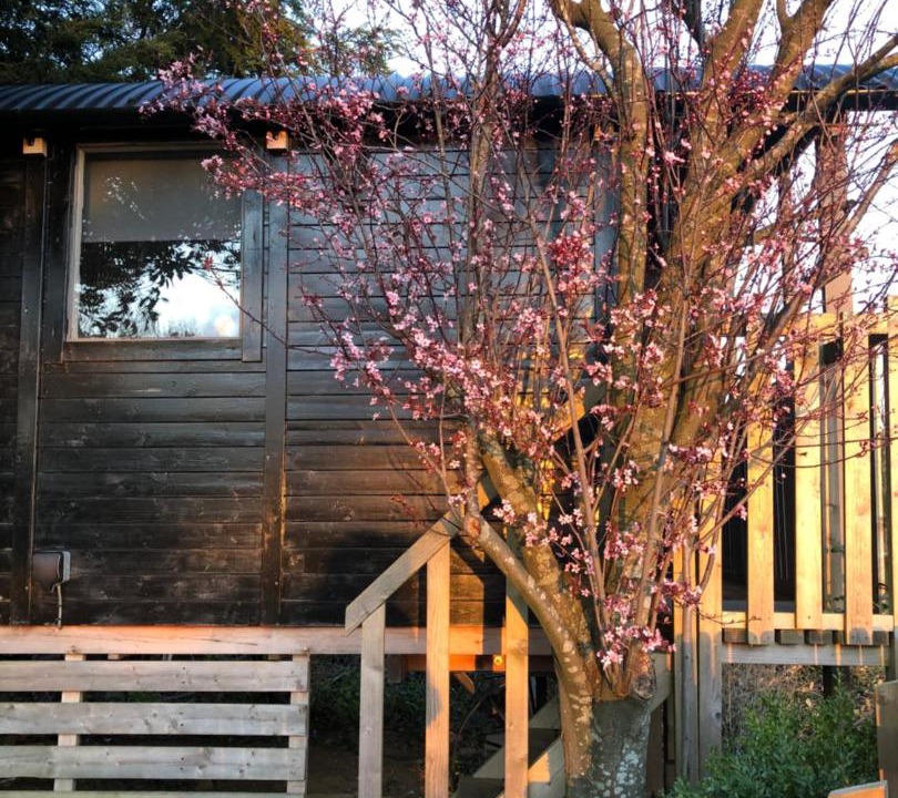 Photo of Others in Sibford Gower