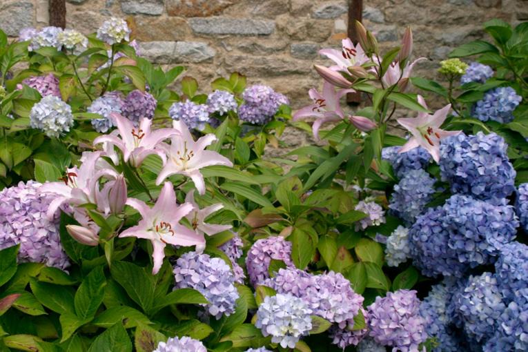 Photo of Outdoor in Plogastel-Saint-Germain