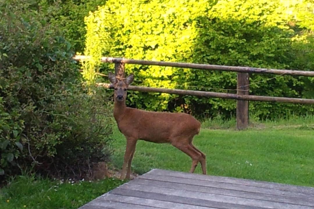 Photo of Others in Lisieux