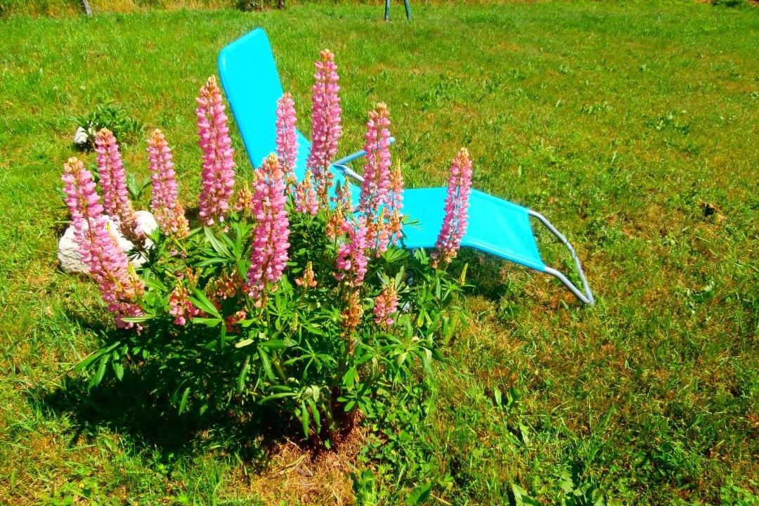 Photo of Outdoor in Usclades-et-Rieutord