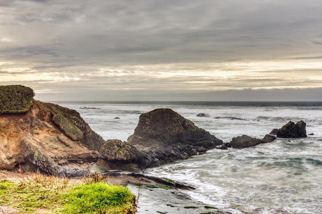 Photo of Others in Seal Rock