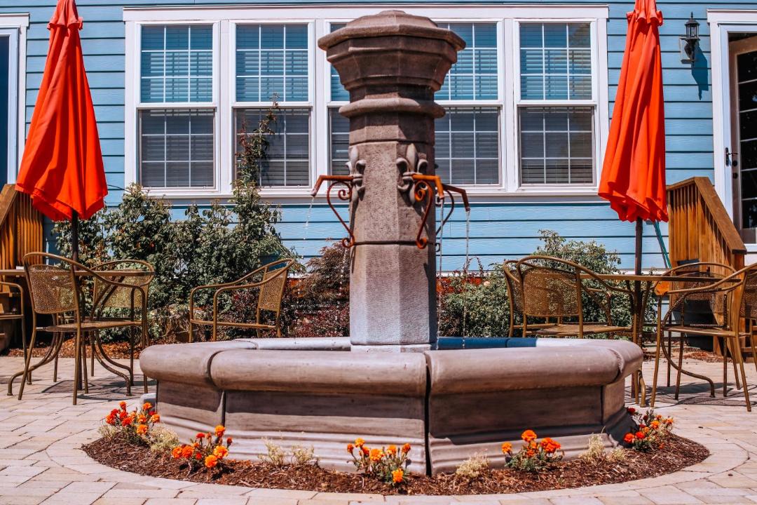 Photo of Others in Dundee