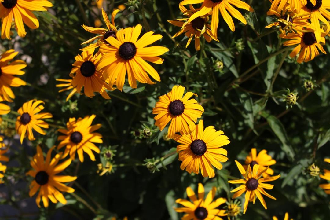 Photo of Others in Dundee