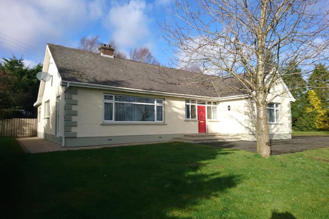 Photo of Others in Craigavon