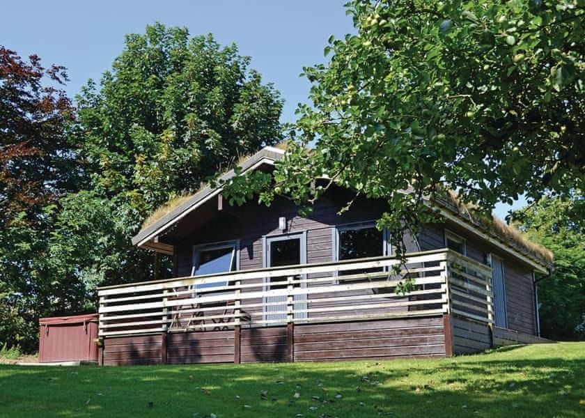 Photo of Others in Brazzacott