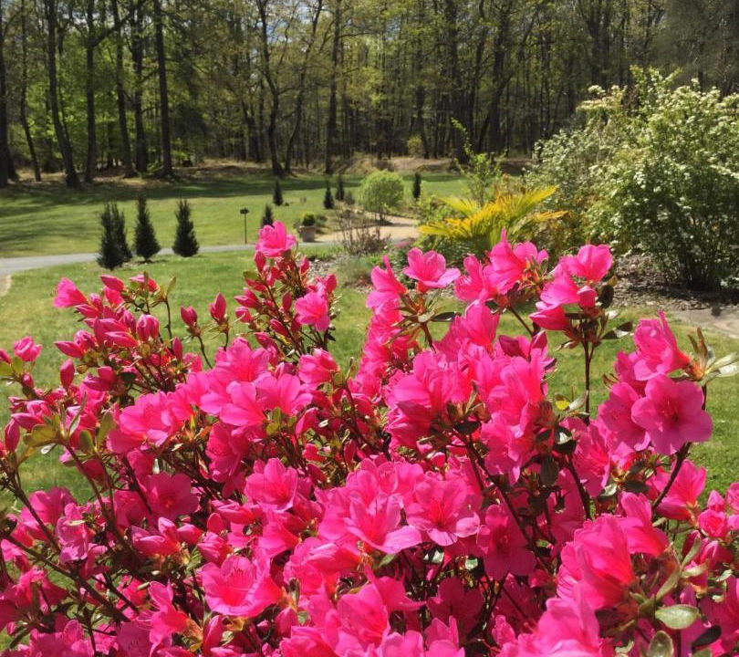 Photo of Others in Les Essards