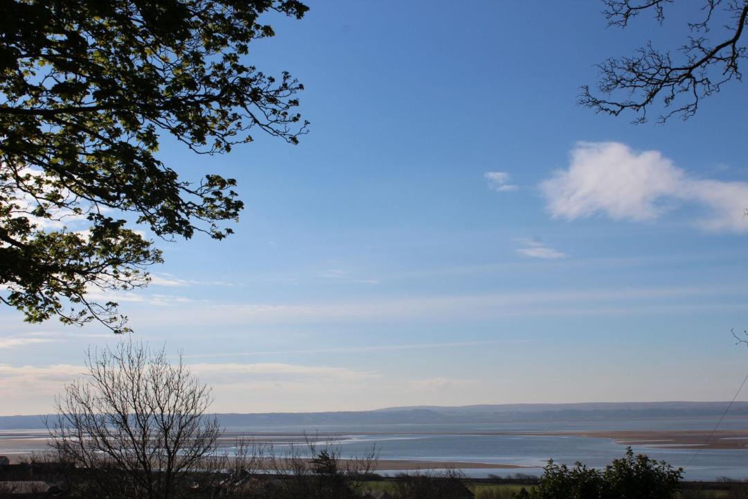 Photo of Others in Llanelli