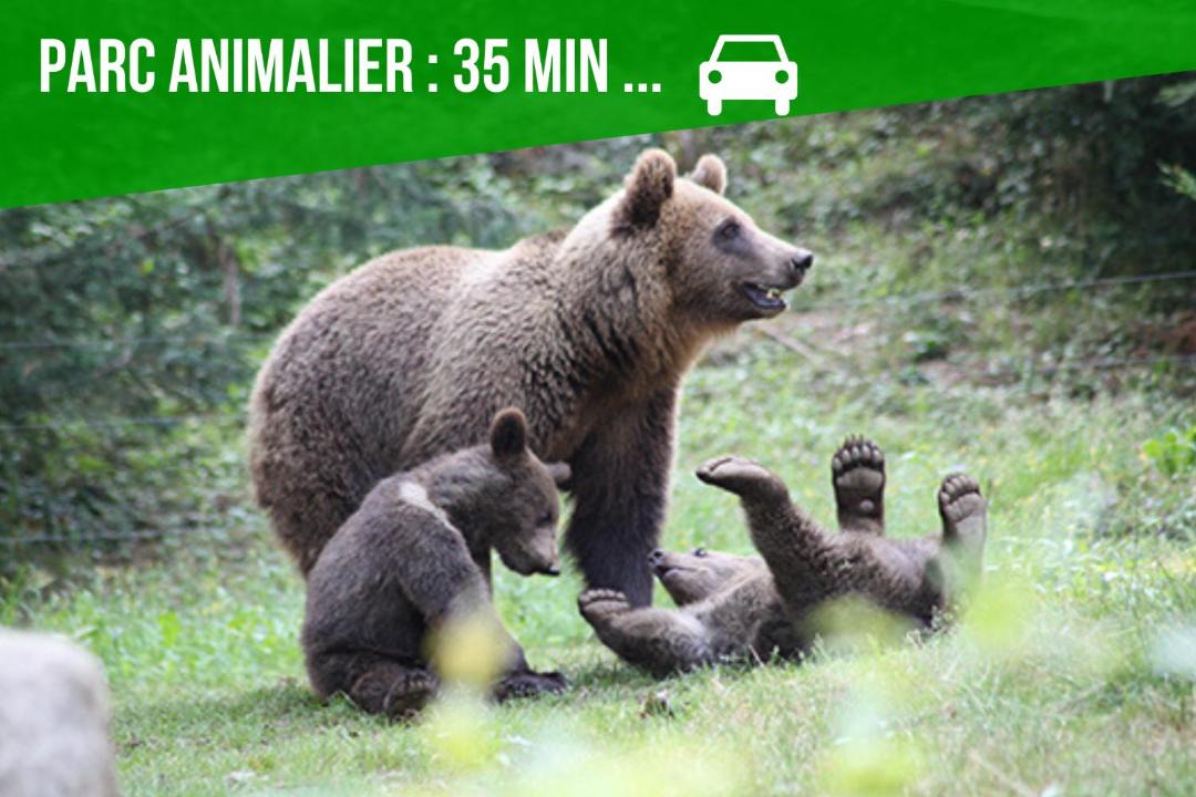 Photo of Human In Picture in Tarbes