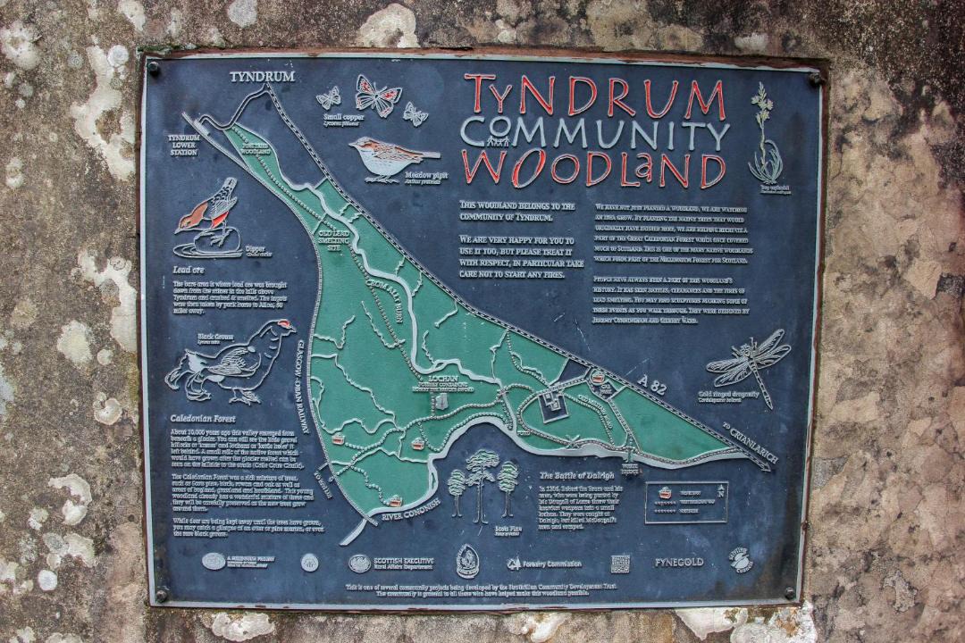 Photo of Others in Tyndrum