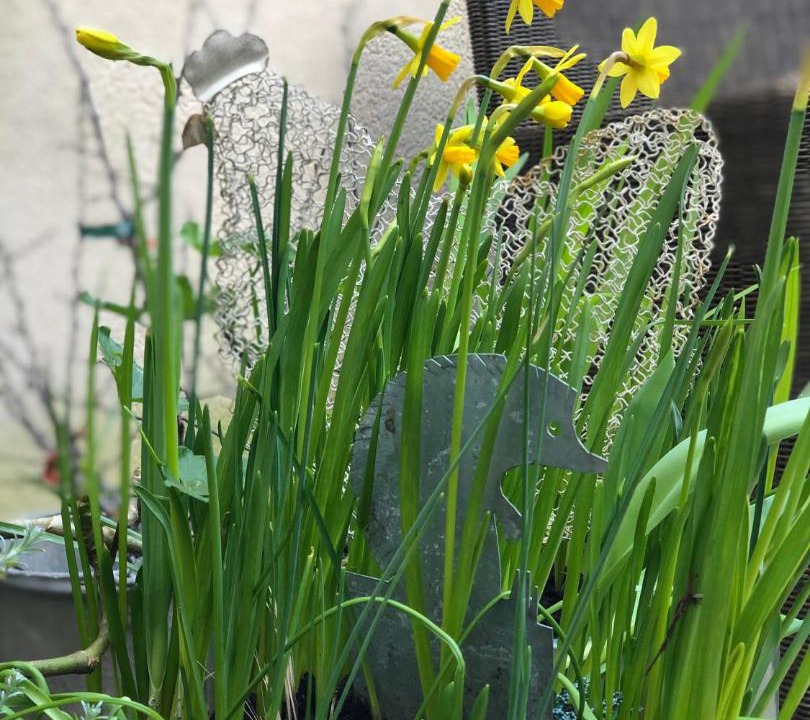 Photo of Others in Flore