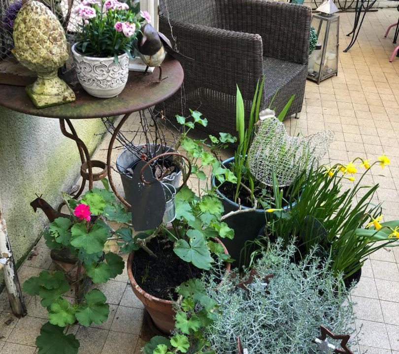 Photo of Others in Flore