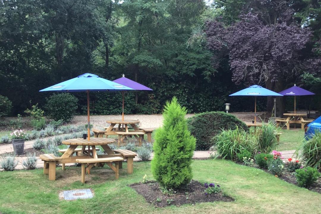 Photo of Outdoor in New Forest District