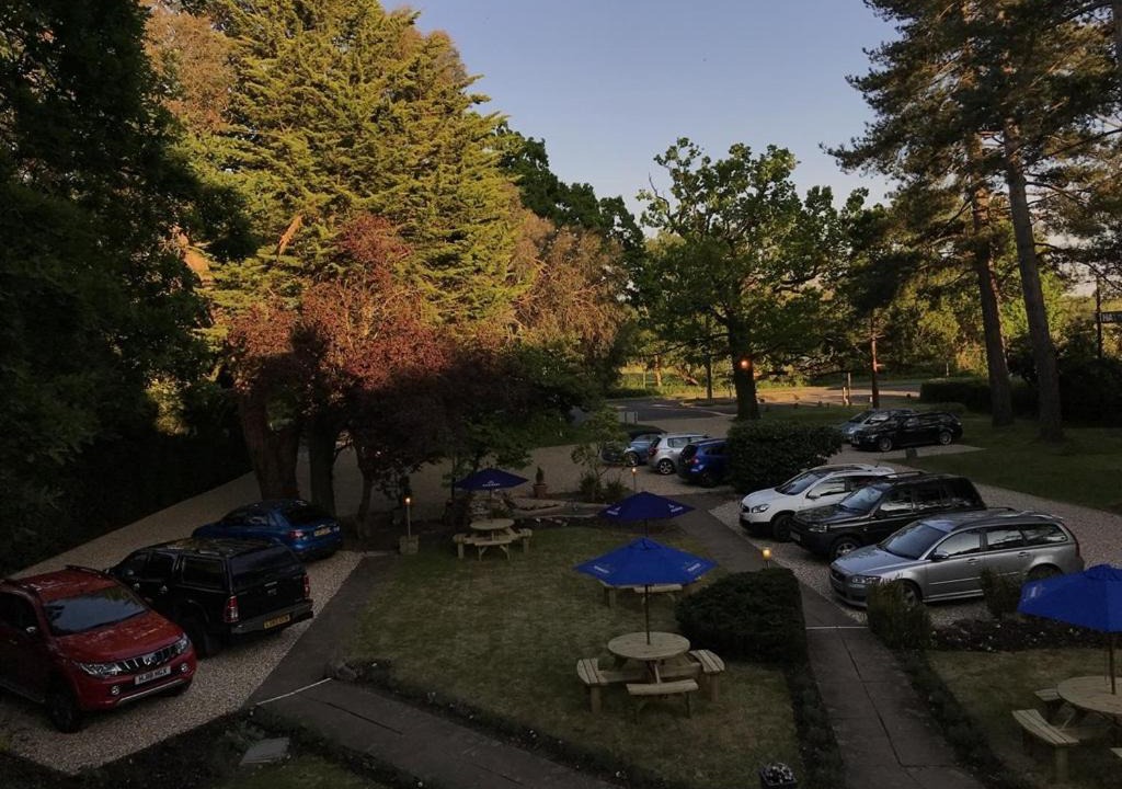 Photo of Others in New Forest District