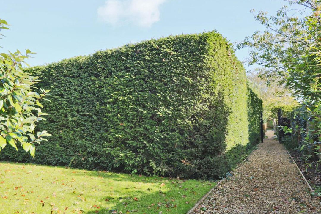 Photo of Others in Orford