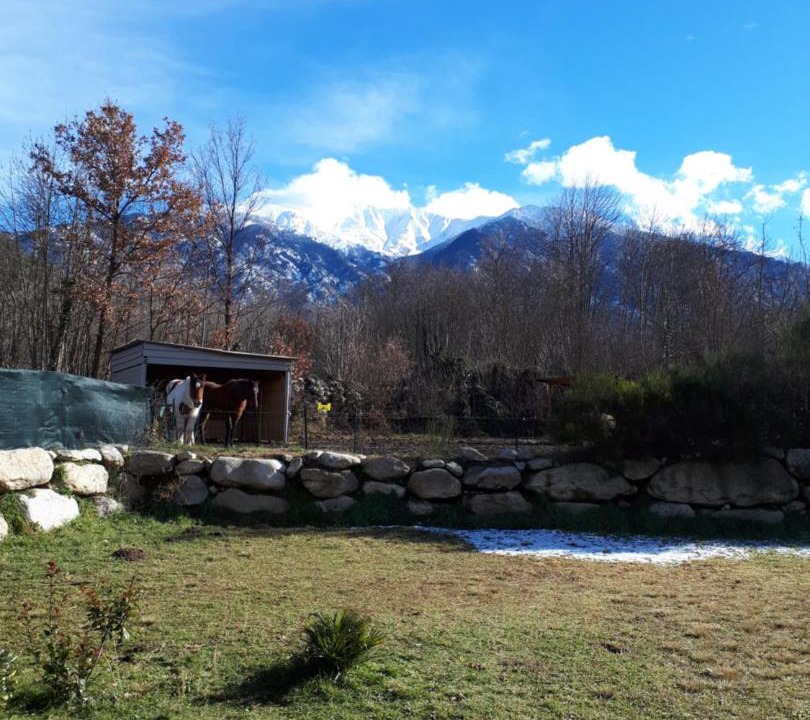 Photo of Others in Corneilla-de-Conflent