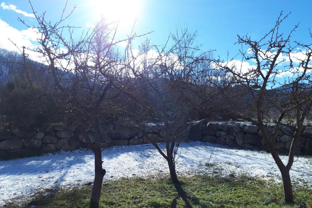 Photo of Outdoor in Corneilla-de-Conflent