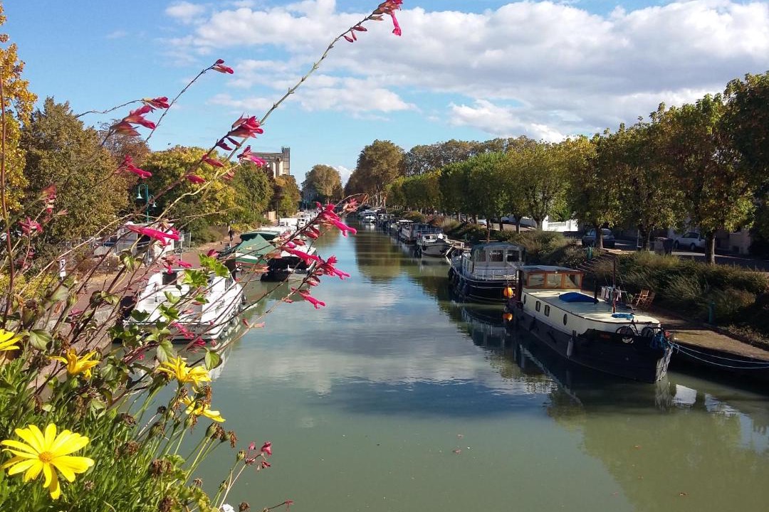 Photo of Others in Moissac