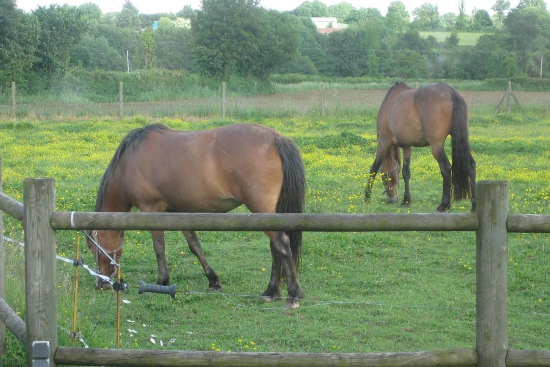 Photo of Others in Le Pin