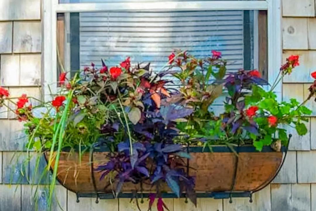 Photo of Others in Kennebunk