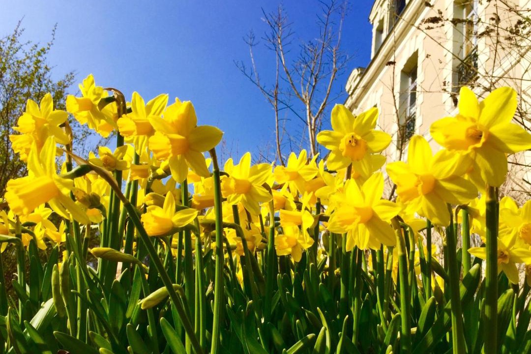 Photo of Outdoor in Les Essards