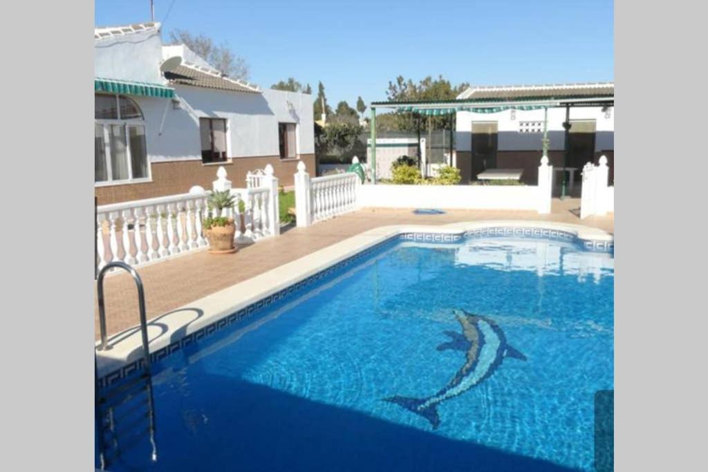 Photo of Outdoor in Guardamar del Segura