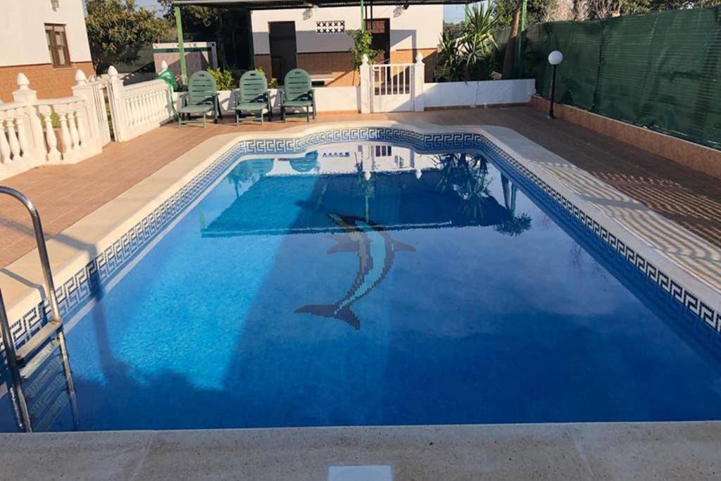 Photo of Outdoor in Guardamar del Segura