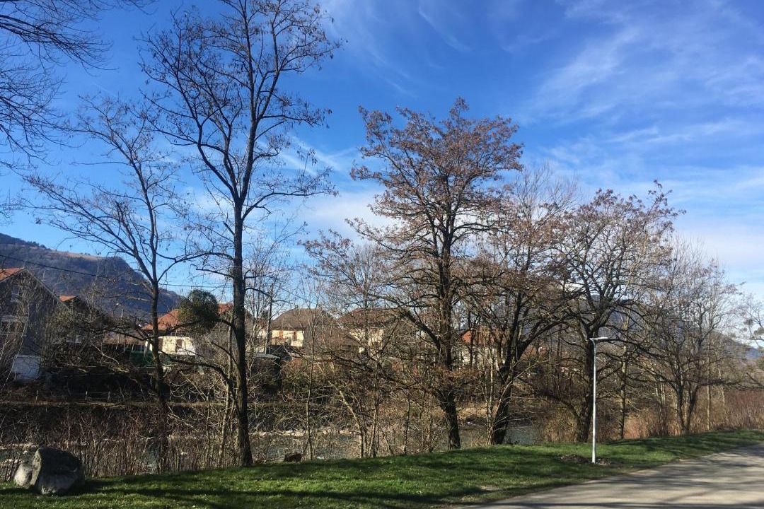 Photo of Others in Cluses