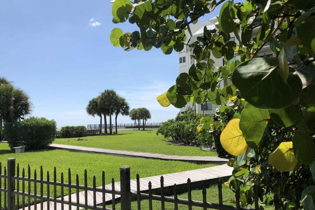 Photo of Others in St. Pete Beach