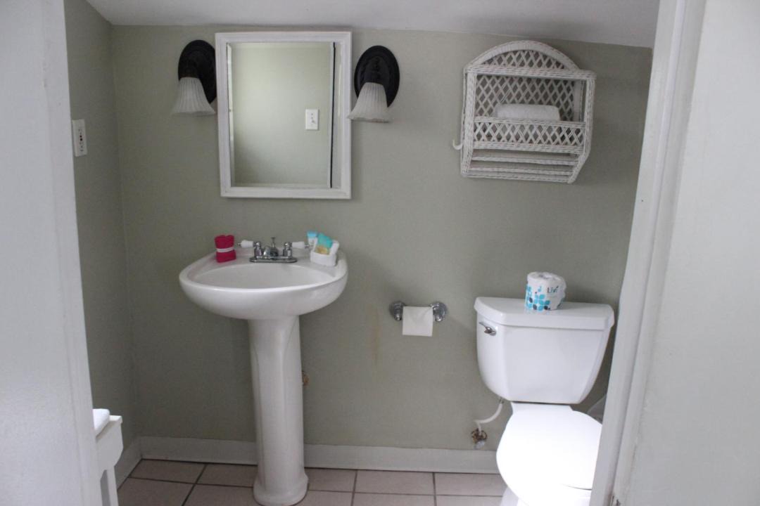 Photo of Others in Reeds