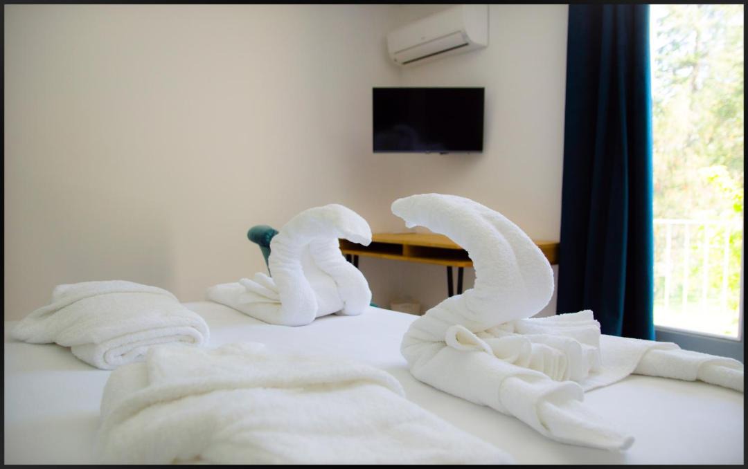 Photo of Others in Romans-sur-Isere